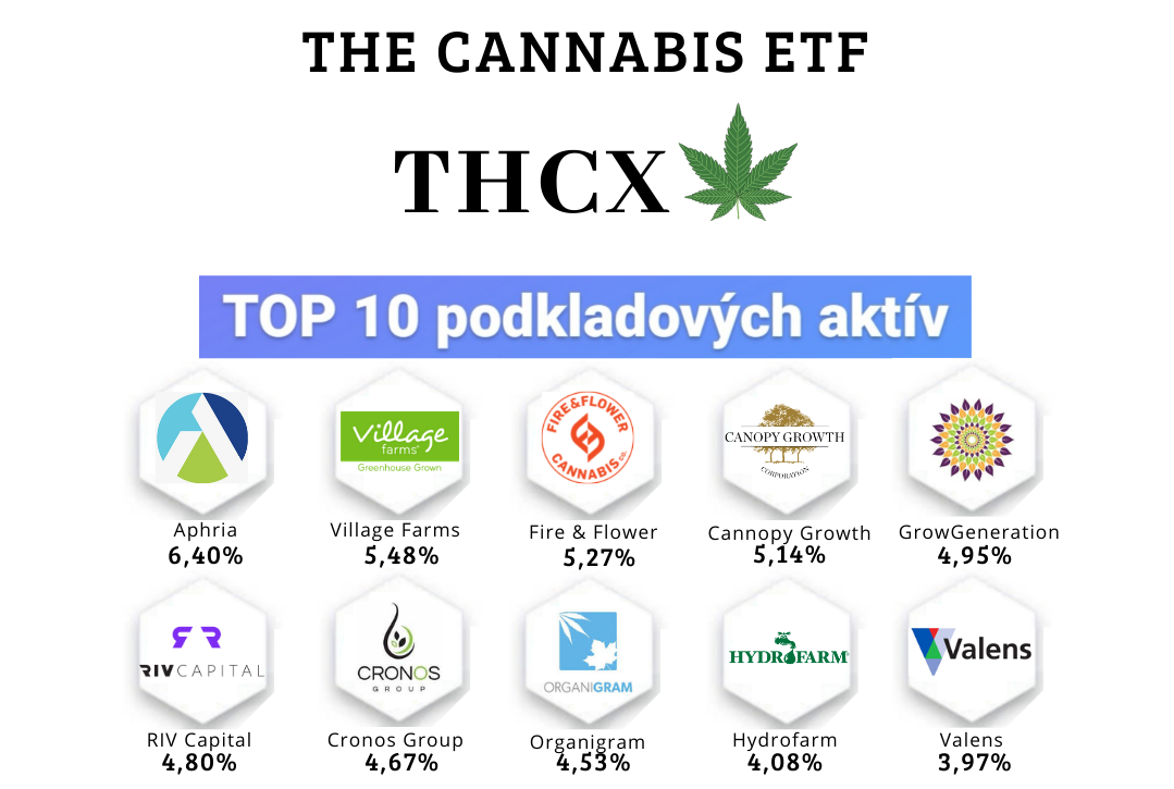 Marihuanové ETF fondy - Cannabis ETF (THCX)