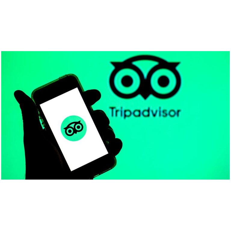 Akcie online cestovej kancelárie Tripadvisor stúpli takmer o 12 %, po tom čo v 3. štvrťroku porazila očakávania analytikov. Firma oznámila upravený zisk 52 centov na akciu pri príjmoch 533 miliónov USD, zatiaľ čo analytici predpovedali 47 centov na akciu a 505 miliónov USD.