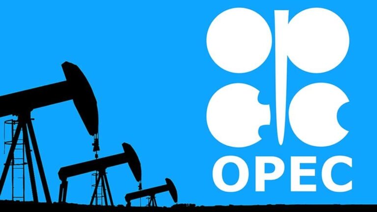 Ropný kartel OPEC opäť znižuje odhad rastu dopytu po rope na roky 2024 a 2025. Čo to znamená pre trh?